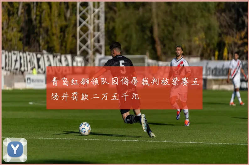 青岛红狮领队因侮辱裁判被禁赛五场并罚款二万五千元