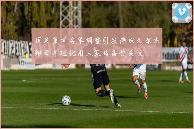 国足集训名单调整引发热议久尔杰维奇年轻化用人策略备受关注
