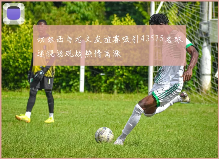 切尔西与尤文友谊赛吸引43575名球迷现场观战热情高涨